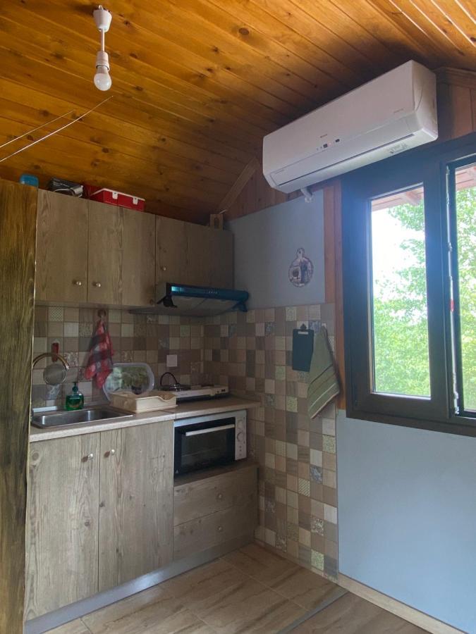 Villa Γαληνη 3 Litochoro Exterior foto