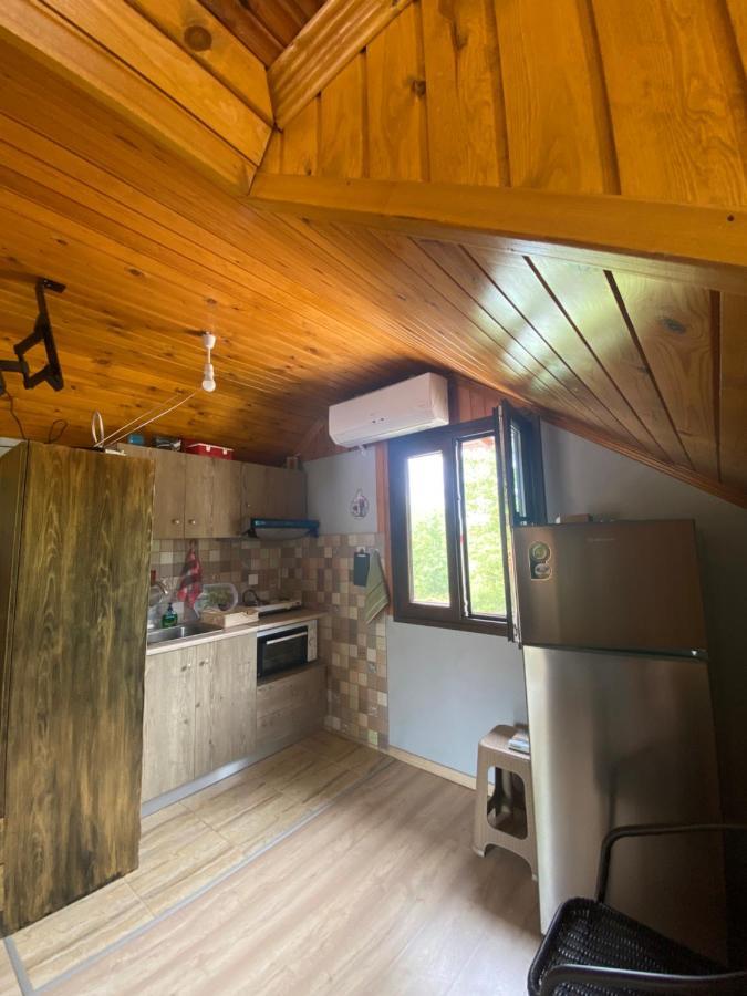 Villa Γαληνη 3 Litochoro Exterior foto
